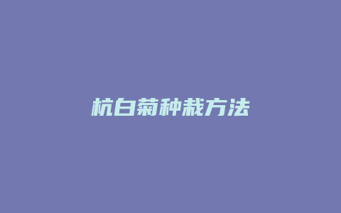 杭白菊种栽方法