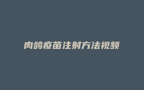 肉鸽疫苗注射方法视频