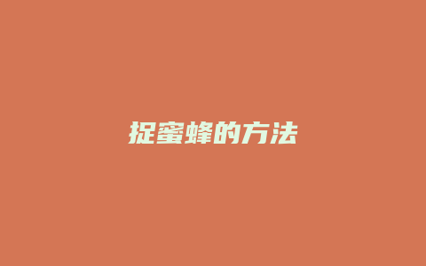 捉蜜蜂的方法