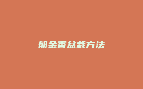 郁金香盆栽方法