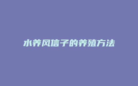 水养风信子的养殖方法