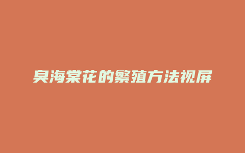 臭海棠花的繁殖方法视屏