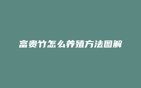 富贵竹怎么养殖方法图解