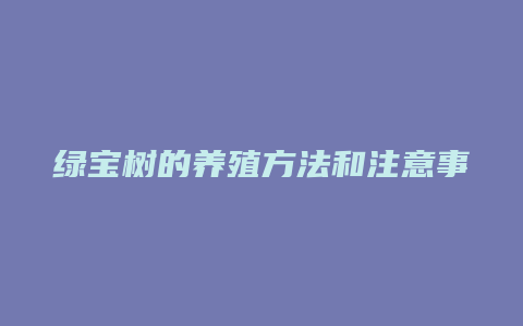 绿宝树的养殖方法和注意事项