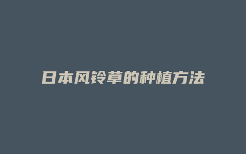 日本风铃草的种植方法