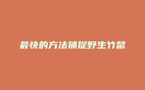 最快的方法捕捉野生竹鼠