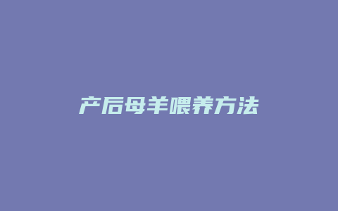 产后母羊喂养方法