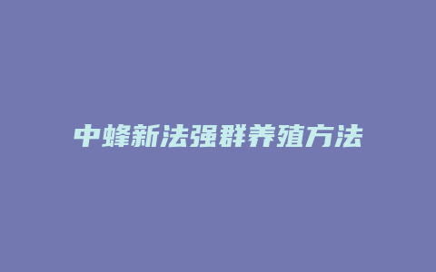 中蜂新法强群养殖方法