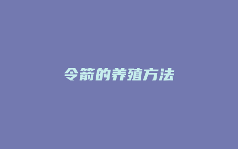 令箭的养殖方法