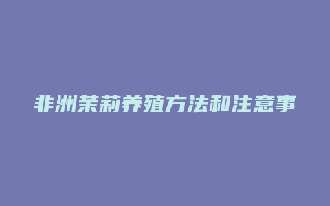 非洲茉莉养殖方法和注意事项