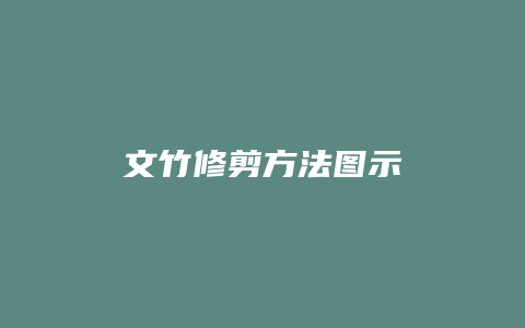 文竹修剪方法图示