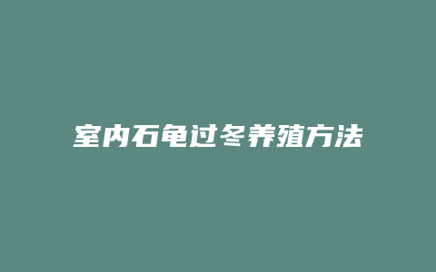 室内石龟过冬养殖方法