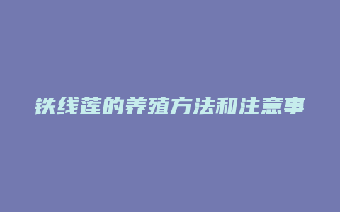 铁线莲的养殖方法和注意事项