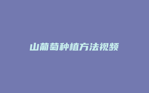 山葡萄种植方法视频