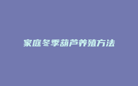 家庭冬季葫芦养殖方法