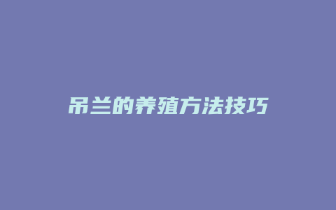 吊兰的养殖方法技巧