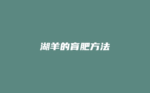 湖羊的育肥方法