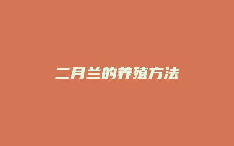 二月兰的养殖方法