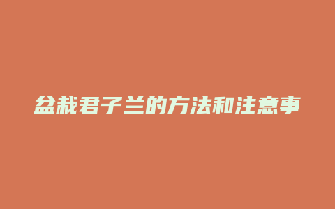 盆栽君子兰的方法和注意事项