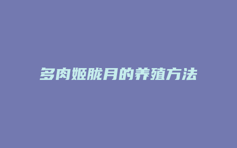 多肉姬胧月的养殖方法