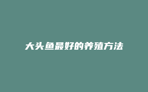 大头鱼最好的养殖方法