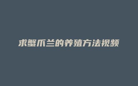 求蟹爪兰的养殖方法视频