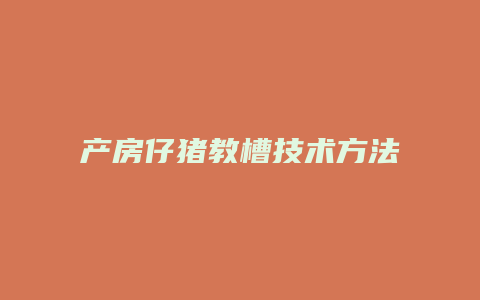 产房仔猪教槽技术方法