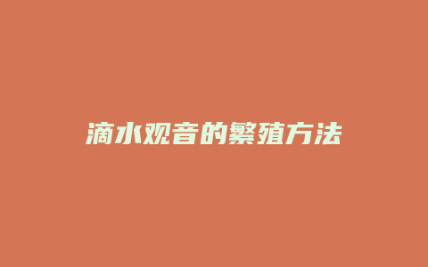 滴水观音的繁殖方法