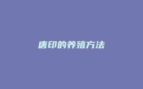 唐印的养殖方法