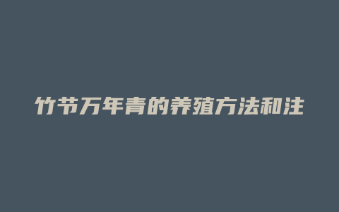 竹节万年青的养殖方法和注意事项