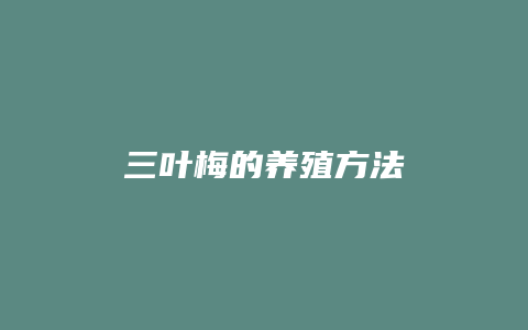 三叶梅的养殖方法