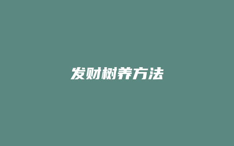 发财树养方法