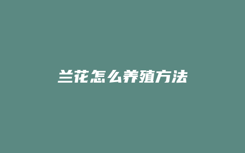 兰花怎么养殖方法