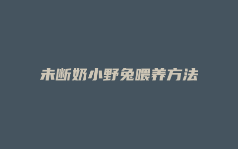 未断奶小野兔喂养方法