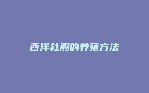 西洋杜鹃的养殖方法