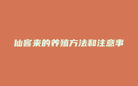 仙客来的养殖方法和注意事项