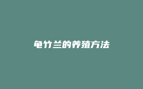 龟竹兰的养殖方法