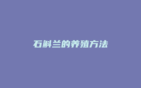 石斛兰的养殖方法