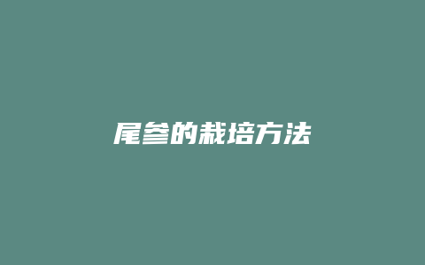 尾参的栽培方法