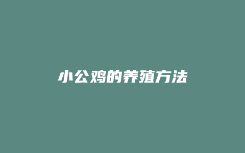 小公鸡的养殖方法