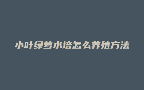 小叶绿萝水培怎么养殖方法