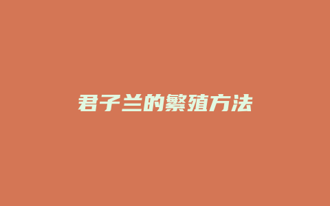 君子兰的繁殖方法