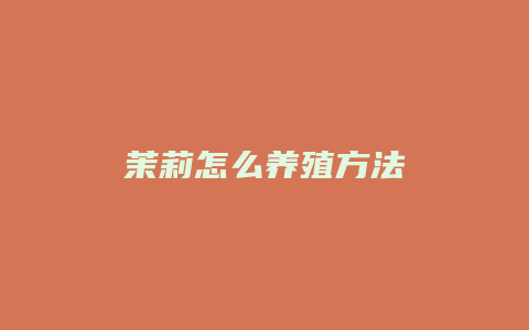 茉莉怎么养殖方法