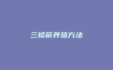 三棱箭养殖方法