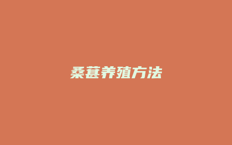 桑葚养殖方法