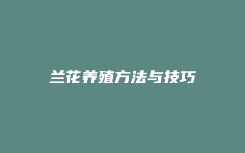 兰花养殖方法与技巧