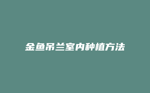 金鱼吊兰室内种植方法