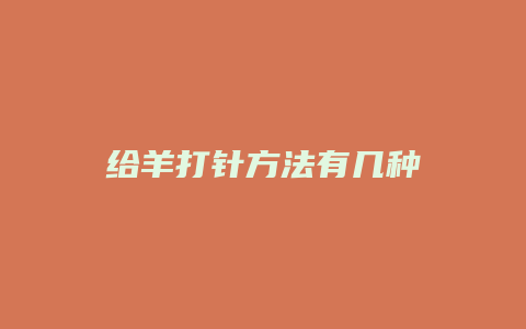 给羊打针方法有几种