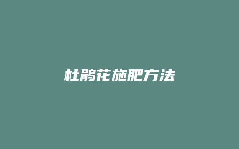 杜鹃花施肥方法