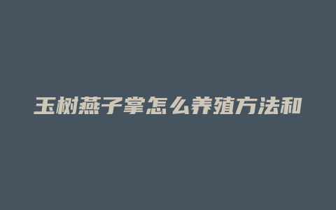 玉树燕子掌怎么养殖方法和注意事项